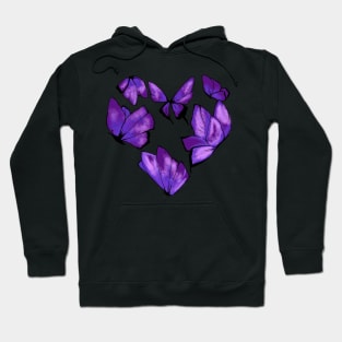 Butterfly love sign Hoodie